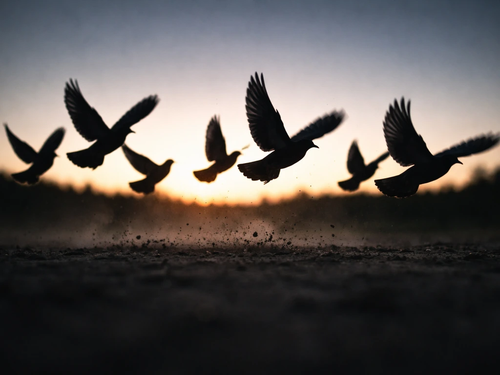 Silhouetted birds burst into flight from the ground, capturing sudden lift-off and symbolism.